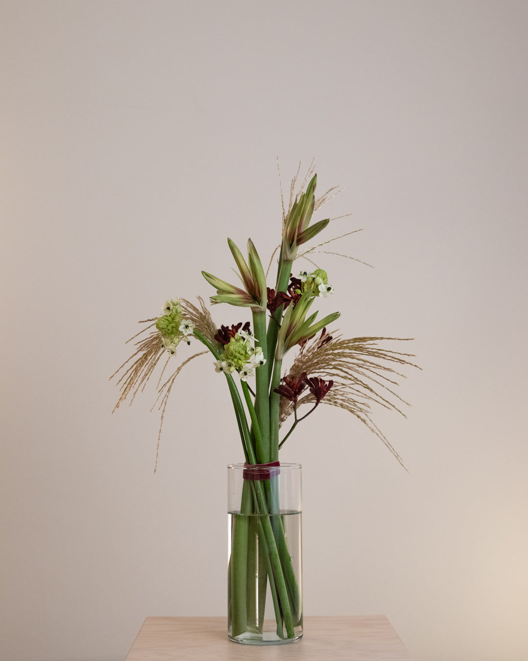 Minimalist winter bouquet with sculptural lines and green-red amaryllis in a clean, refined composition