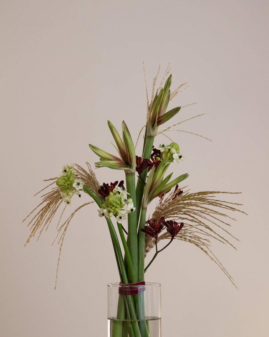 Minimalist winter bouquet with sculptural lines and green-red amaryllis in a clean, refined composition