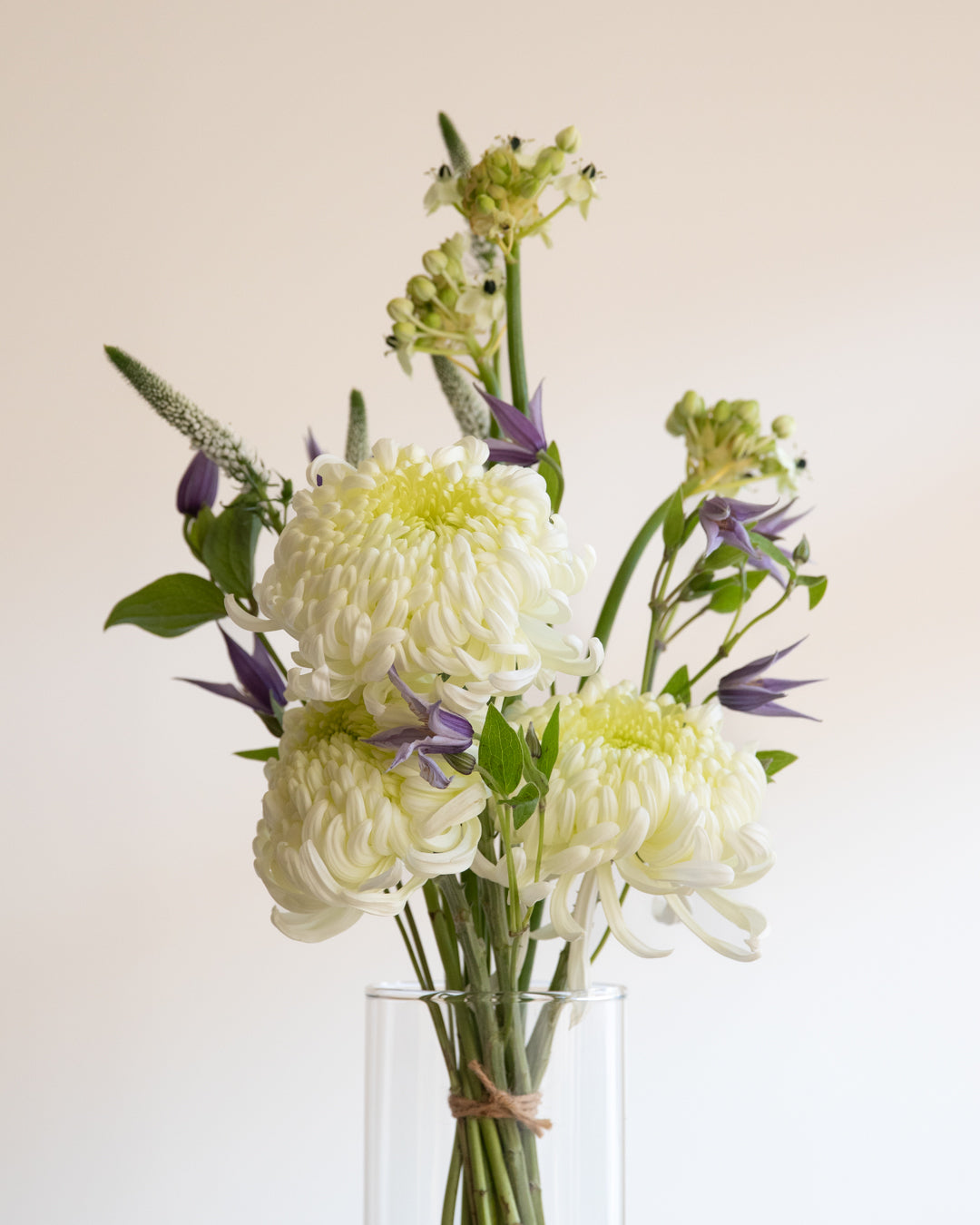 Trust me – Standard