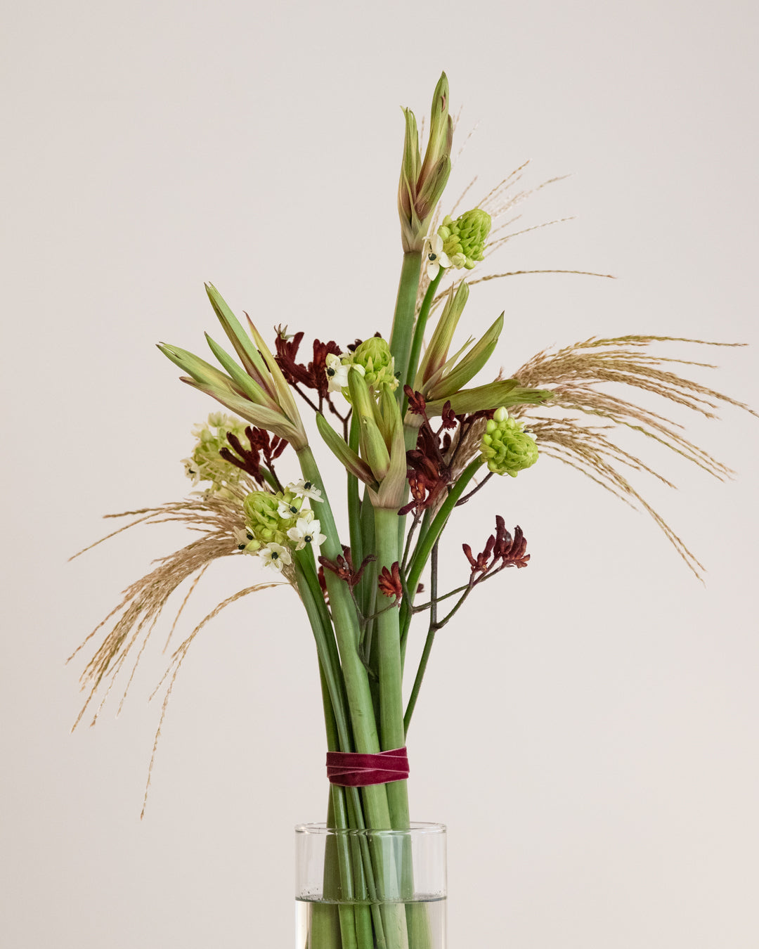 Trust me – Standard